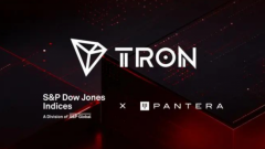������ֵ��ֵ��ܣ��������TRON�Գ���Э��������ѡ���������ʲ�ָ��