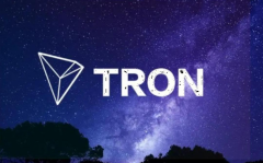 ���������TRON��ι���ȥ���Ļ����ܻ���